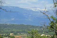 View of Mt Ventoux from Mazan in Provence, France
