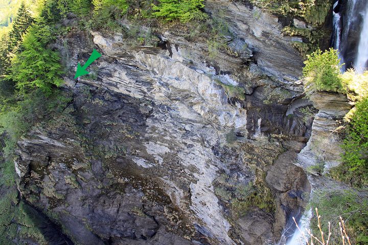The Fight at the Reichenbach Waterfalls