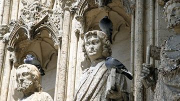 Doves on saints on Rouen Cathedral