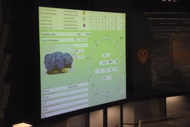 The clock Aalsmeer Flower Auction