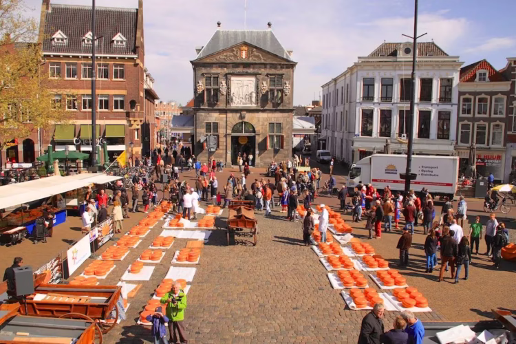 Cheese Market viewed from Gouda Stadhuis