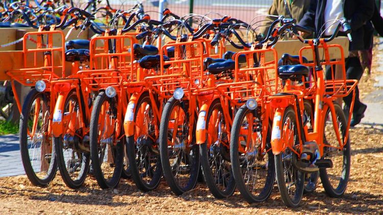 Orange Bikes at Keukenhof - a great way to explore the flower bulb fields are by rented bicycle.
