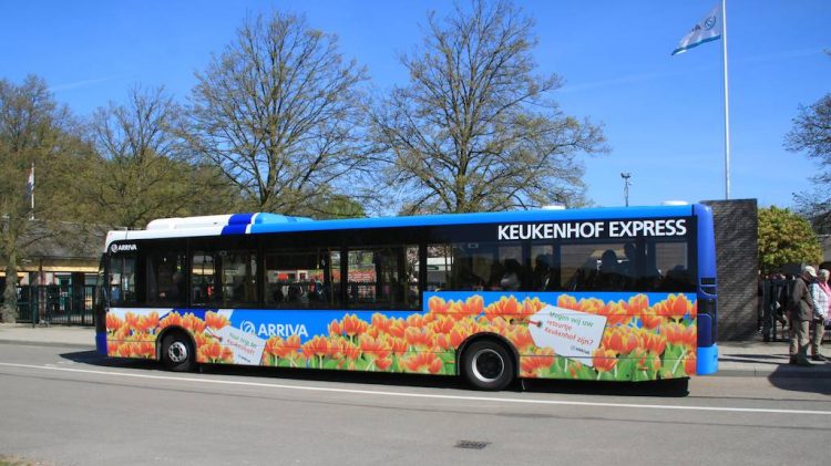 Keukenhof Express bus