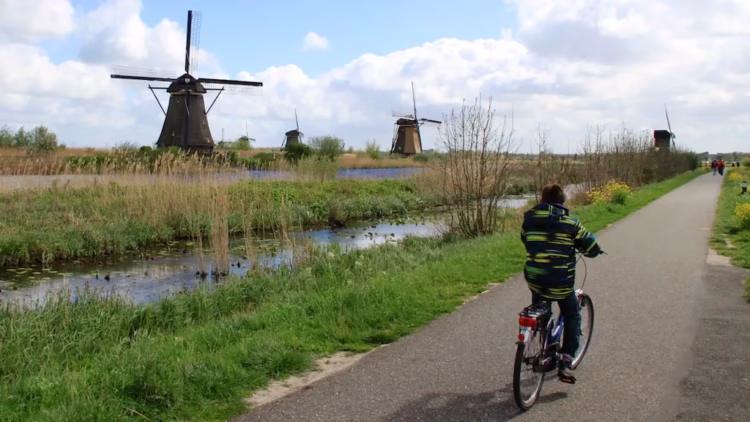 Cycling past windmills at Kinderdijk