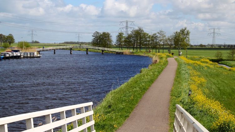 Cycling path near Kinderdijk