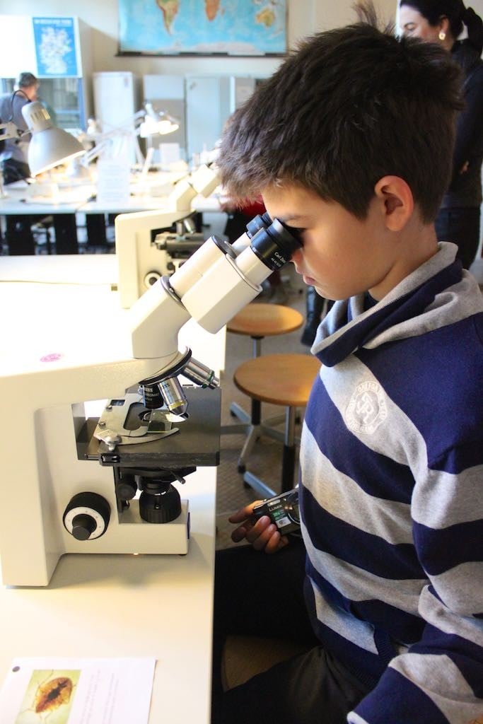 Museum für Naturkunde in Berlin microscopes