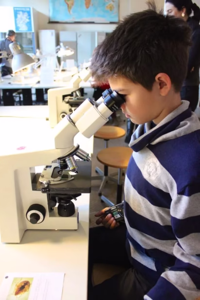 Museum für Naturkunde in Berlin  microscopes