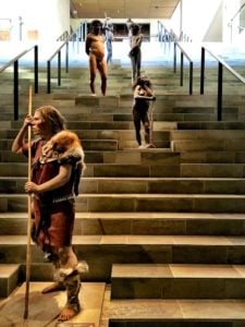 The evolution stairway in the Moesgaard Museum
