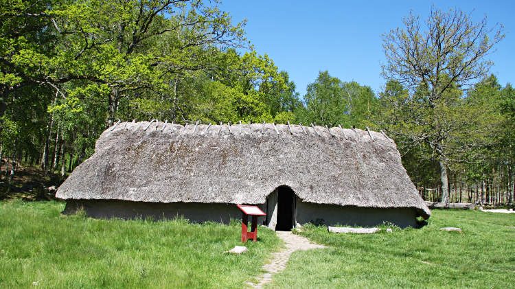 Vitlycke Bronze Age Farm