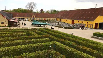 Maze at Egeskov Castle in Denmark 30