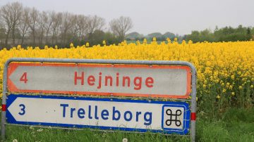 Trelleborg Viking Fortress Sign