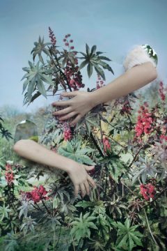 Vanja Bucan, Camouflage aus der Serie Sequences of Truth and Deception