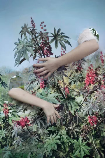 Vanja Bucan, Camouflage aus der Serie Sequences of Truth and Deception