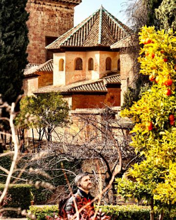 Orange trees in the Alhambra Gardens