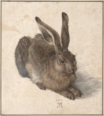 Albrecht Dürer’s Field Hare (1502) 