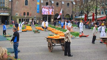 Alkmaar Cheese Market in Noord Holland 1381