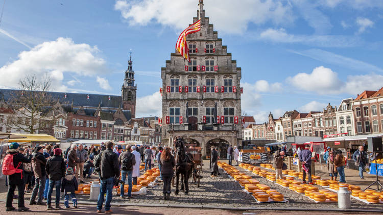 Gouda-cheese-market.jpg