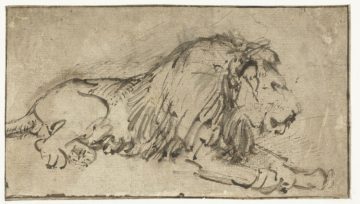 Rembrandt van Rijn, Liggende leeuw, ca. 1660