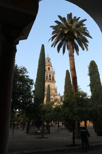 Bell tower and the Patio de los Naranjos of the Mezquita in Cordoba