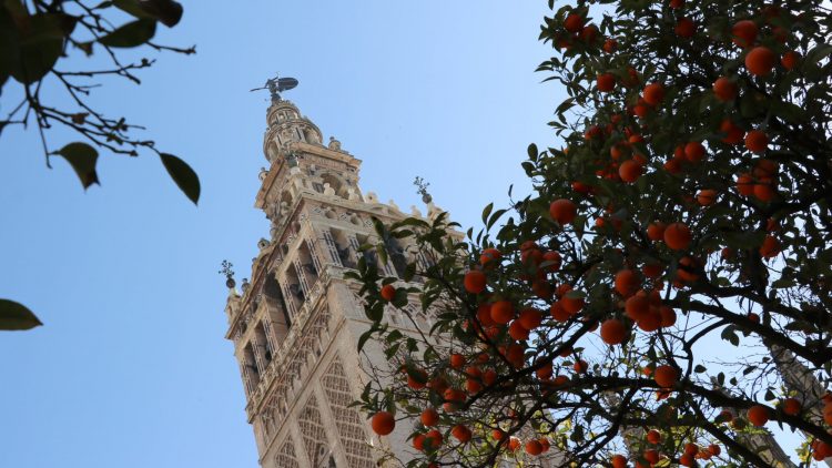 Giralda Tower seen from the Orange Tree Courtyard of Seville Cathedral