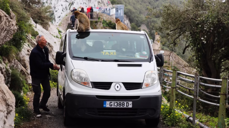Gibraltar Taxi Tours