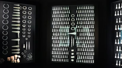 In the State Museum of Prehistory Halle (Landesmuseum for Vorgeschichte Halle) in Saxony-Anhalt, Germany.