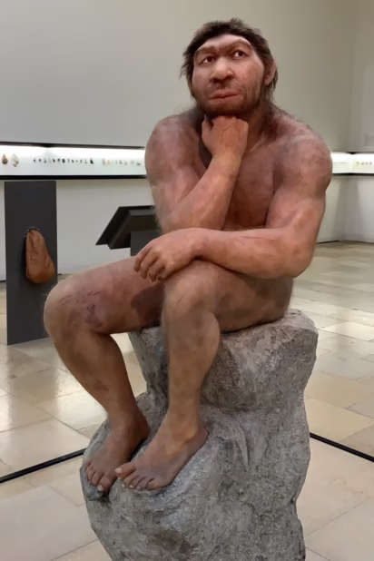 Homo sapiens neanderthalensis