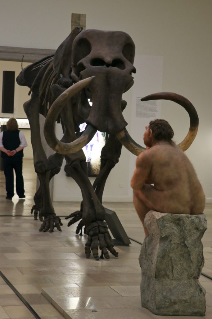 Mammoth Skeleton and model Homo sapiens neanderthalensis.