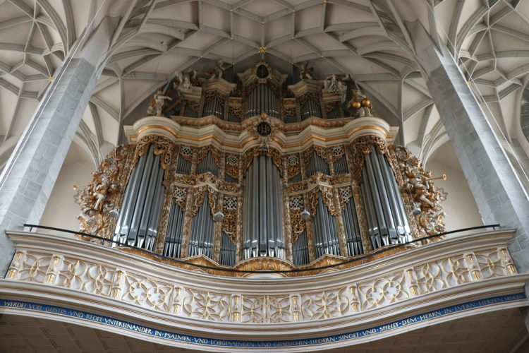Schuke Organ in Halle