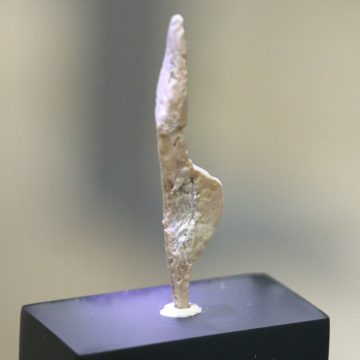 female ivory sculptures from Nebra