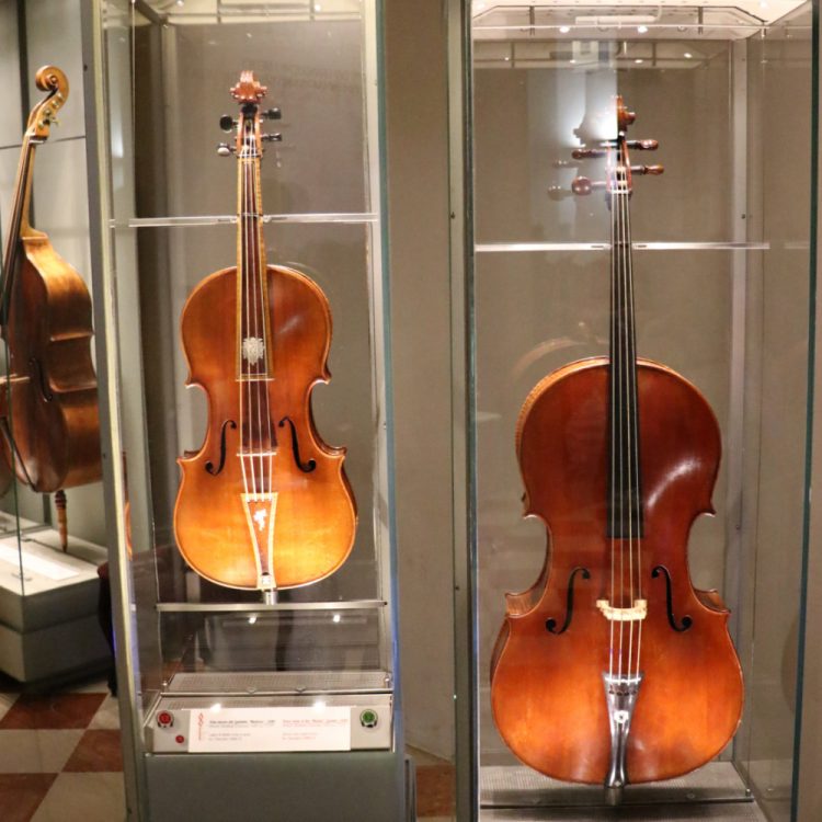 Historical Musical Instruments in the Accademia in Florence