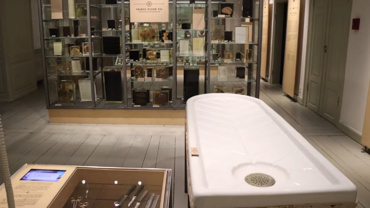 Autopsy table in the Medical Museion Museum in Copenhagen