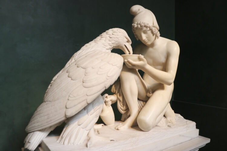Ganymede and the Eagle of Jupiter