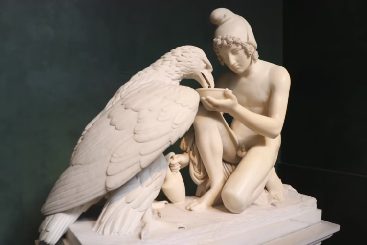 Ganymede and the Eagle of Jupiter