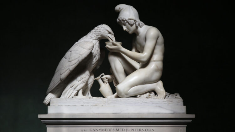 Ganymede and the Eagle of Zeus in the Thorvaldsens Museum in Copenhagen