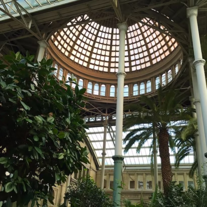 Winter Garden with cupola and palm trees in the Ny Carlsberg Glyptotek Copenhagen