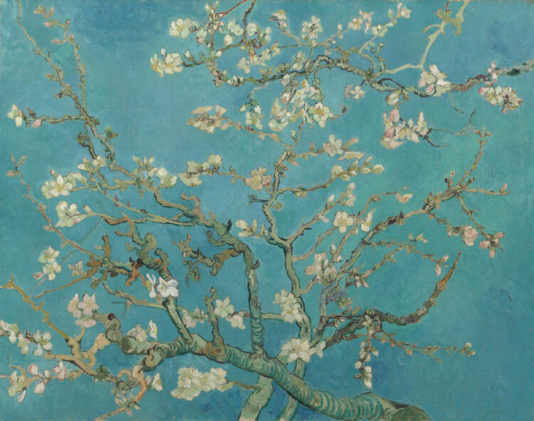 Almond Blossoms part of special exhibitions in 2023 in the Van Gogh Museum Amsterdam