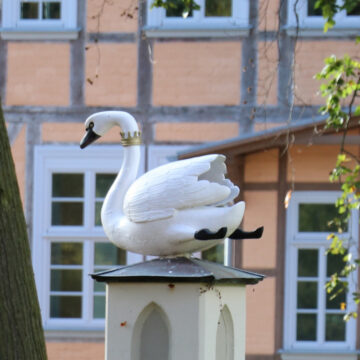 Swan sculpture in Bad Doberan