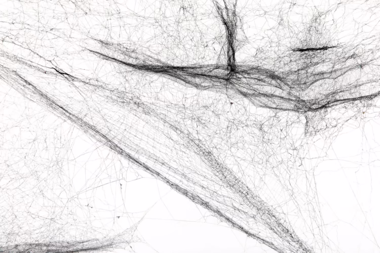 Tomás Saraceno, Solitary semi-social mapping 2023 Berlin Kulturforum Exhibitions