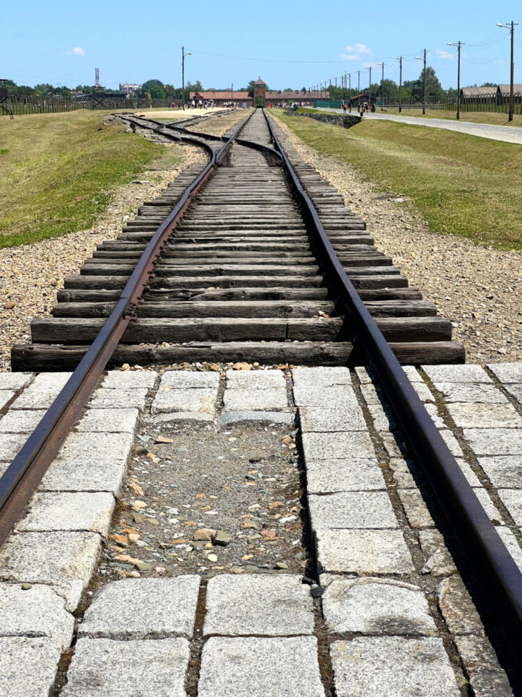 Visitors on guided tours to Auschwitz II Birkenau see the famous railway and gate tower while with tickets it is allowed to explore more