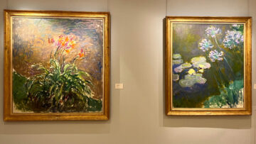 Monet Hemerocalles and Agapanthus-