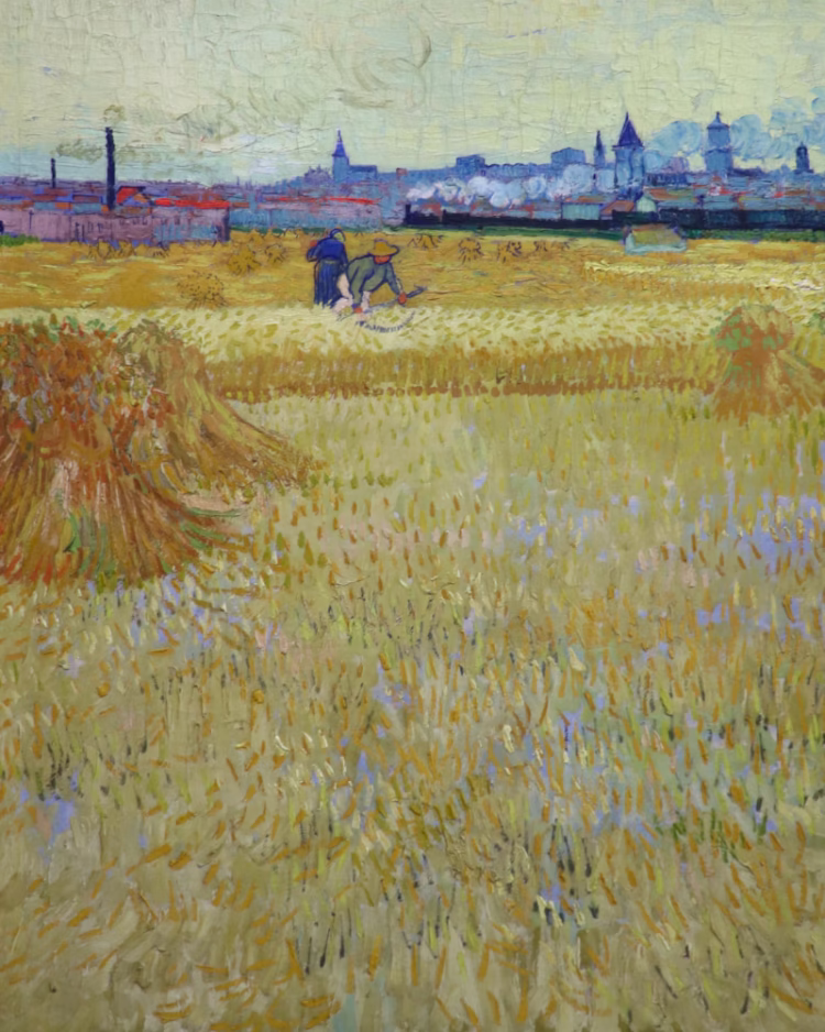 Van Gogh: The Harvesters in the Rodin Museum in Paris.