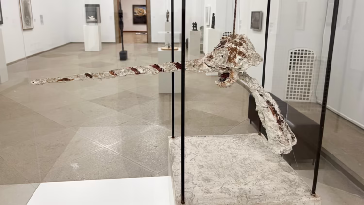 Alberto Giacometti: Le Nez in the Kunstmuseum Basel Fine Arts Museum