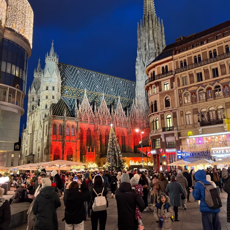 The Weihnachtsdorf Stephansplatz main attraction is its location -- right next to the beautiful Gothic Stephansdom (Cathedral) in Vienna.