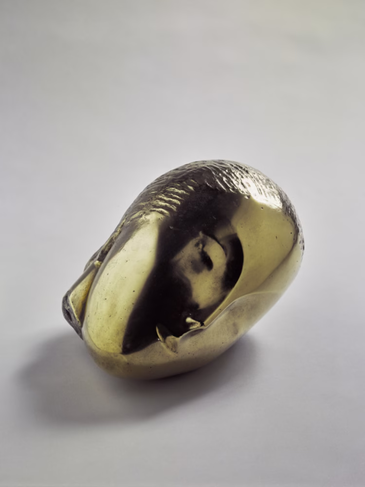 Constantin Brancusi, La Muse endormie special art exhibitions in the Neue Nationalgalerie in Berlin in 2026
